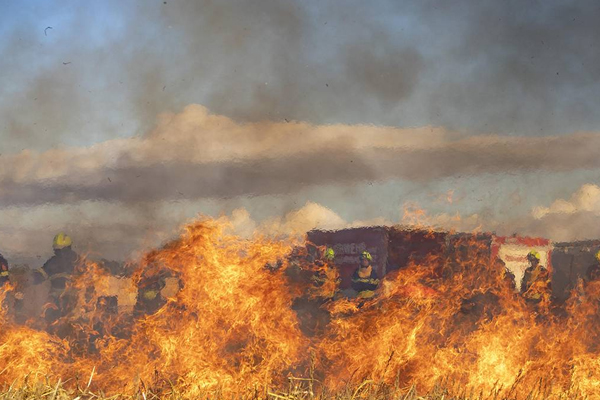 智慧林業(yè)解決方案