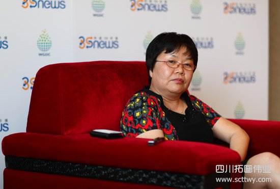 徐麗萍：國內(nèi)高分衛(wèi)星呈規(guī)模化與大眾化