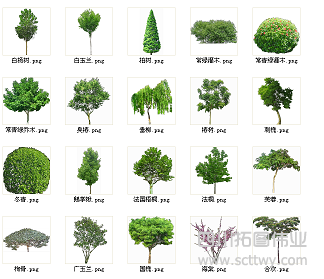 青島市城市三維仿真系統建設